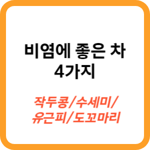 비염에좋은차